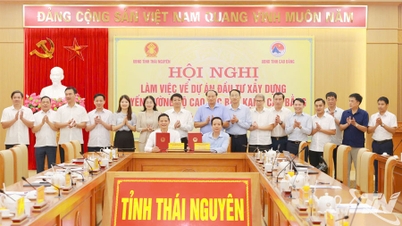Se ha llegado a un acuerdo sobre muchos aspectos del proyecto de la autopista Bac Kan - Cao Bang.