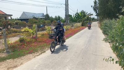 Tay Ninh lancia il nuovo programma di sviluppo rurale e di sviluppo urbano civilizzato per il periodo 2026-2030.