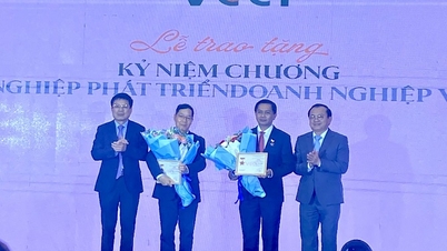 Trovare soluzioni per lo sviluppo aziendale nel delta del Mekong