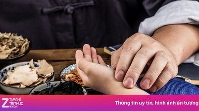Il Vietnam possiede un'enorme quantità di preziose erbe medicinali; perché non sono stati in grado di utilizzarle?