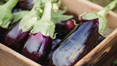 Å spise aubergine har uventede fordeler for kolesterol.