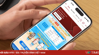Shopee aiuta le aziende vietnamite a sfondare: il fatturato aumenta del 63% dopo un mese di formazione sull'e-commerce.