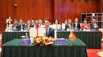 Úsilí o silnou podporu rozvoje vietnamsko-čínské spolupráce.