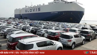 গাড়ি আমদানি ব্যাপকভাবে কমে গেছে এবং চীন প্রধান বাজার হিসেবে আবির্ভূত হয়েছে।