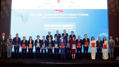 Utöka det tekniska samarbetet och koppla samman innovationsekosystemen i Vietnam och Singapore.