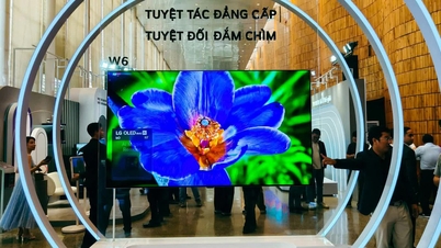 LG dément les rumeurs de vente de son activité téléviseurs à Hisense.