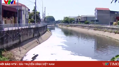 Il canale Kim Doi (provincia di Bac Ninh) è inquinato ed emana un odore nauseabondo; gli abitanti del luogo si sentono storditi e disorientati ogni volta che ci passano accanto.