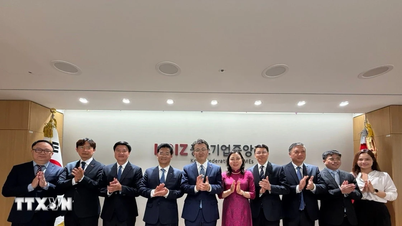 Prowincja Ninh Binh wzmacnia powiązania inwestycyjne i współpracę z partnerami koreańskimi.