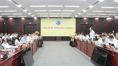 Implementar reformas integrales para convertir a Da Nang en un modelo de desarrollo educativo y de formación.