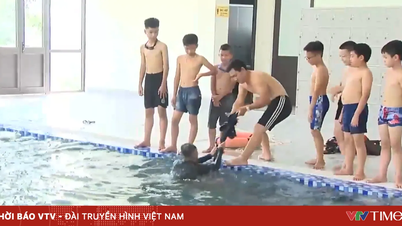 Enseñar natación y dotar a los alumnos de habilidades de seguridad acuática.