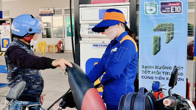 The latest directive from the Ministry of Industry and Trade regarding the sale of E10 gasoline.