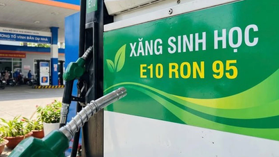 Ministero dell'Industria e del Commercio: "Non sono state ancora trovate prove che la benzina E10 danneggi i motori".
