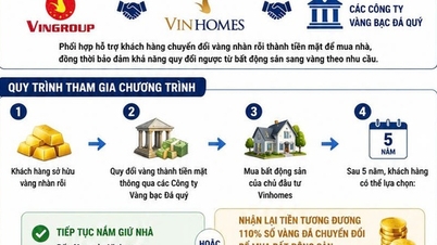 La Banca di Stato del Vietnam si è espressa per la prima volta sulla possibilità di utilizzare l'oro per l'acquisto di immobili.