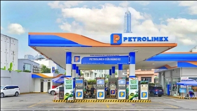 Il Ministero dell'Industria e del Commercio ha definito la tabella di marcia per la fornitura di benzina E10 su tutto il territorio nazionale a partire dal 1° giugno.
