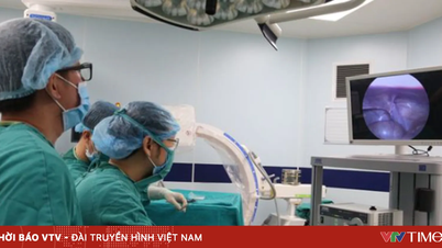 10% dị tật bẩm sinh ở nam giới liên quan cơ quan sinh dục