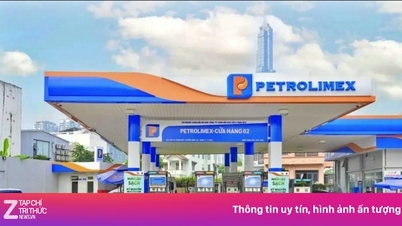 Kementerian Perindustrian dan Perdagangan mengeluarkan arahan baharu hanya beberapa hari sebelum penjualan petrol E10 di seluruh negara.
