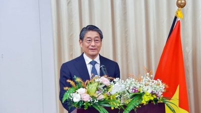 외국 외교관들이 본 베트남