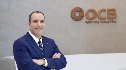OCB nomina un esperto straniero di intelligenza artificiale come direttore generale ad interim.