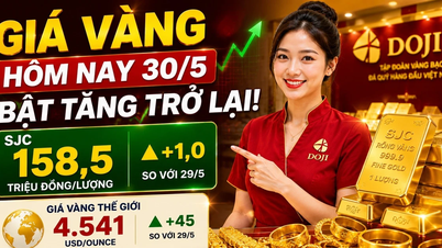 ราคาทองคำล่าสุดสำหรับ SJC, BTMC, DOJI, PNJ และ Phu Quy ประจำวันนี้ 30 พฤษภาคม 2026