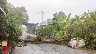 Durante il temporale, gli alberi sono stati sradicati e i lampioni sono caduti.