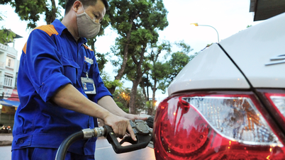 The Ministry of Industry and Trade clarifies whether using E10 gasoline will weaken the engine of a vehicle.
