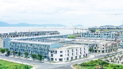 Un anno dall'attuazione della Risoluzione 68: una prospettiva da Da Nang - Parte 3: Aspettative per un meccanismo di collaborazione davvero efficace.