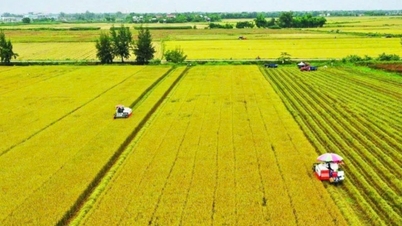 Más allá del crédito, se necesita un ecosistema financiero completo para la agricultura verde.