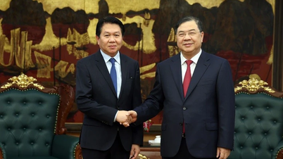 Prioritní vztahy mezi Vietnamem a Laosem