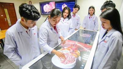 Un'università investe in farmacie e ospedali affinché gli studenti possano utilizzarli per i loro studi.
