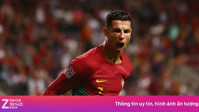 FIFA's misrekening
