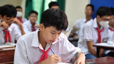 Đáp án môn Ngữ Văn thi vào 10 tại Hà Nội năm 2026 sớm nhất