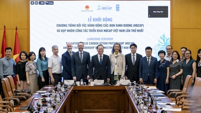 Mezinárodní spolupráce k využití potenciálu modrého uhlíku.