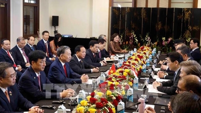 Vietnam - Singapore: Skaper nye gjennombrudd for å styrke, forbedre kvaliteten og effektiviteten av økonomisk samarbeid.