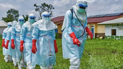 A OMS acelera a busca por vacinas e tratamentos em meio ao surto de Ebola no Congo.