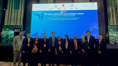 PTIT, Vietnam-Singapur Teknoloji Bağlantı Forumu'nda uluslararası iş birliğini teşvik ediyor.