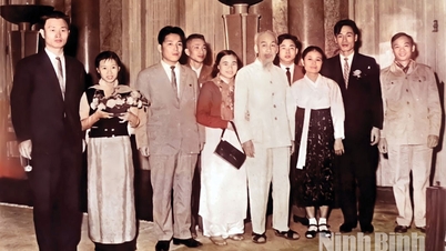 Lời Bác soi đường