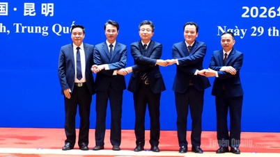 12ª Reunião do Grupo de Trabalho Conjunto entre as Províncias Vietnamitas e a Província de Yunnan, China