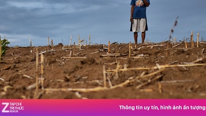 El Nino 2026 có thể mạnh nhất lịch sử