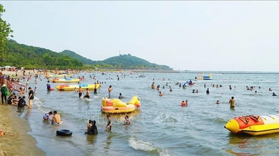 पर्यटन को बढ़ावा देने के लिए फु क्वोक को "लोकोमोटिव" के रूप में उपयोग करना।