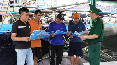Al fianco dei pescatori per combattere la pesca illegale, non dichiarata e non regolamentata (INN).