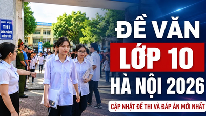 Cele mai recente întrebări și răspunsuri la examenul de Literatură pentru clasa a X-a în Hanoi 2026