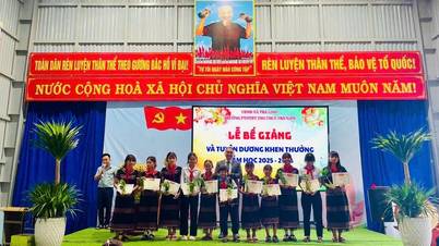 ប្លែកពីគេនៅទីក្រុងដាណាំង៖ ផ្តល់រង្វាន់ដល់សិស្សពូកែជាមួយយិនស៊ិនង៉ុកលីញ។