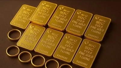 ¿Cuál es el precio de los lingotes de oro SJC en Can Tho hoy?
