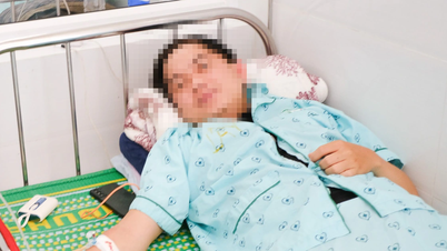 Alleged bread poisoning incident: Samples found to contain Salmonella bacteria.