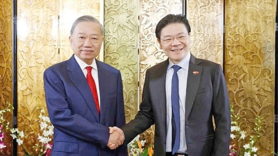 Coopération technologique Vietnam-Singapour