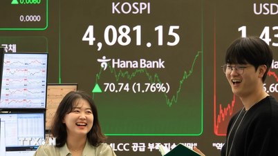 Akcie umělé inteligence prudce rostou, jihokorejské akcie dosahují nových maxim.