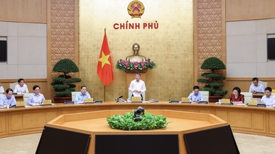 Il Politburo stabilisce le funzioni e i doveri del Comitato del Partito del Governo.