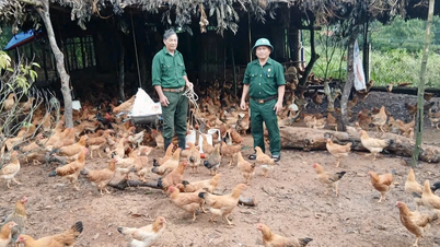 Những cựu chiến binh trên 'mặt trận' mới