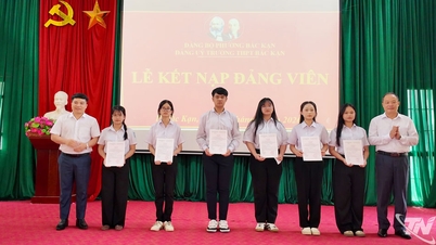 Bồi dưỡng 'hạt giống đỏ” trong trường học