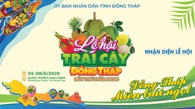 Lịch hoạt động tại Lễ hội Trái cây Đồng Tháp lần thứ I, năm 2026